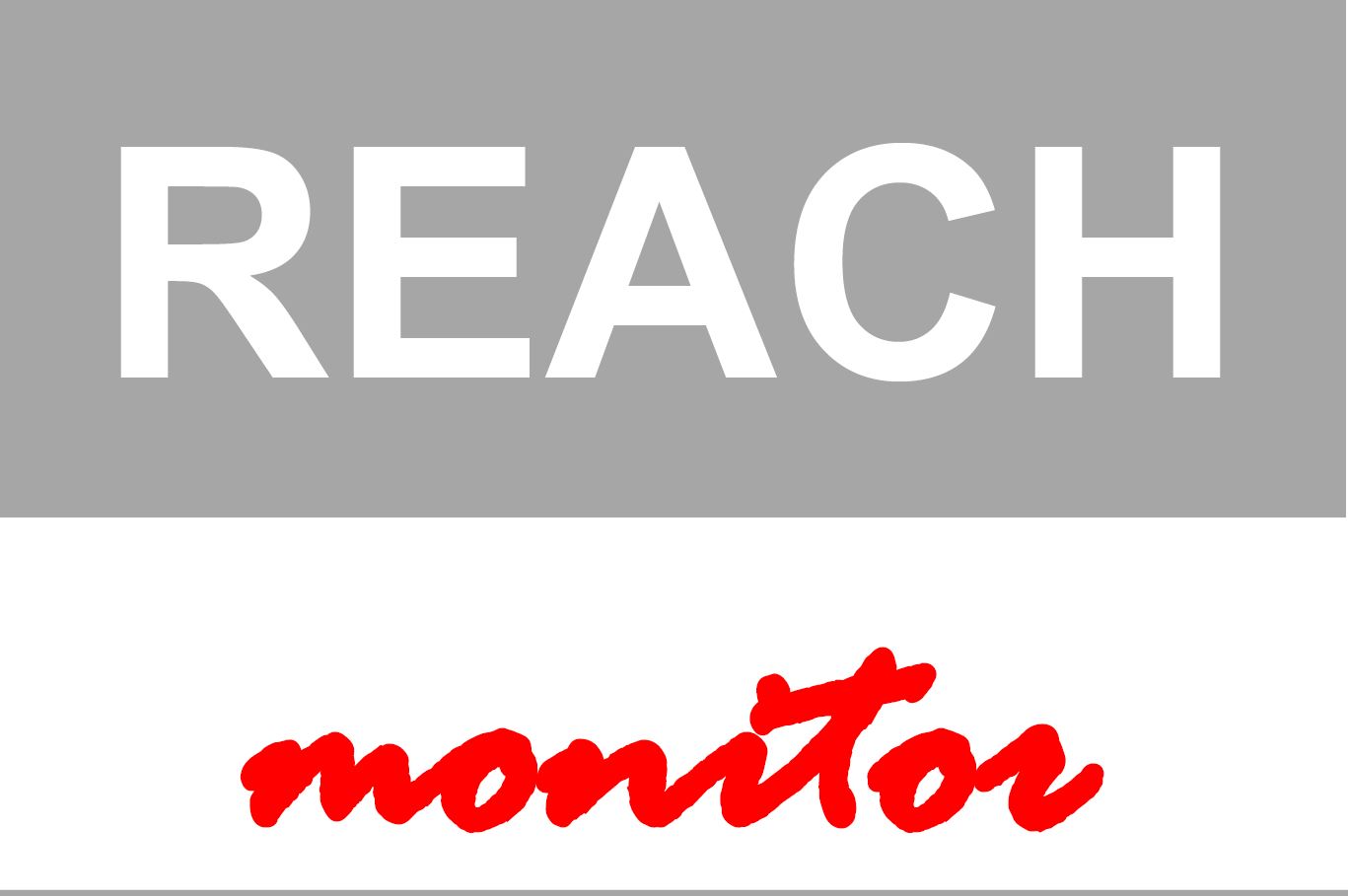 Reach Monitor Logo